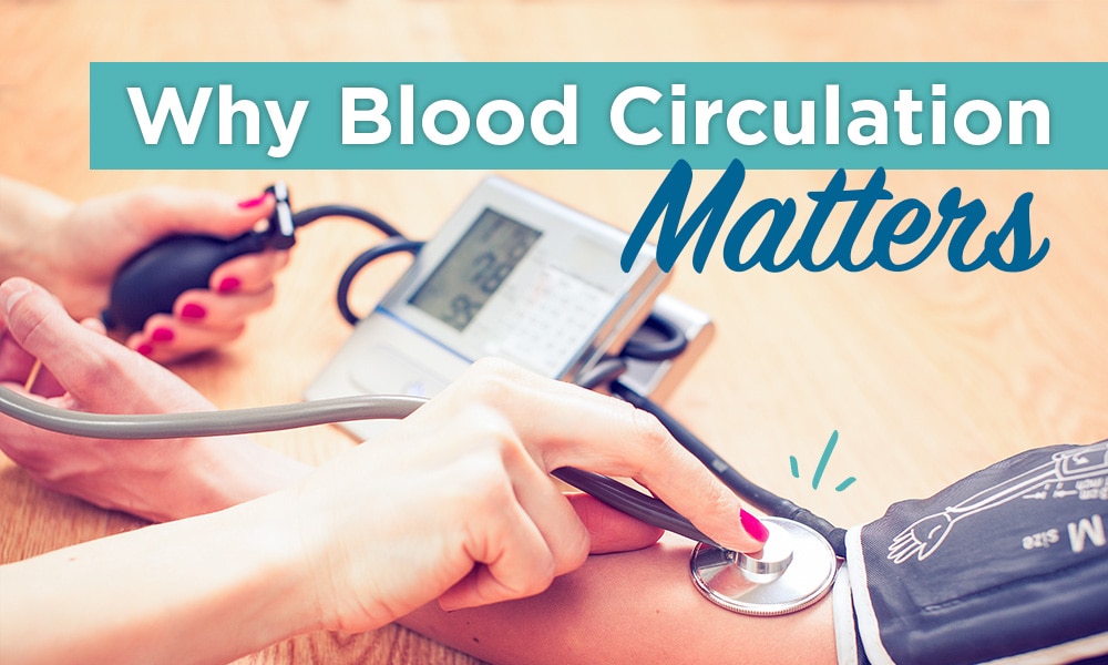 Why Blood Circulation Matters