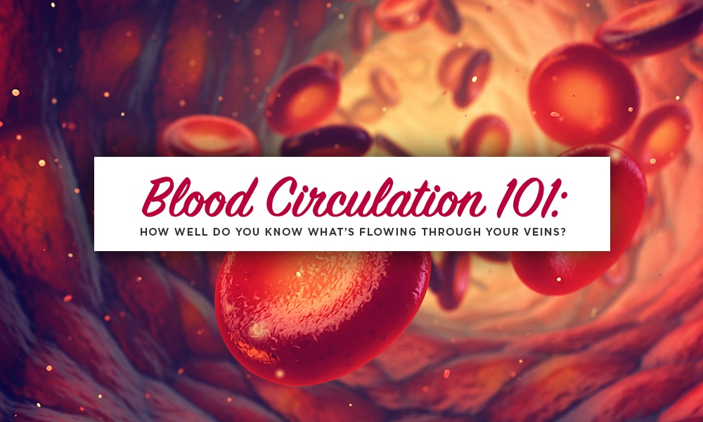 Blood Circulation 101: How Well Do You Know What’s Flowing Through Your Veins? [Quiz]