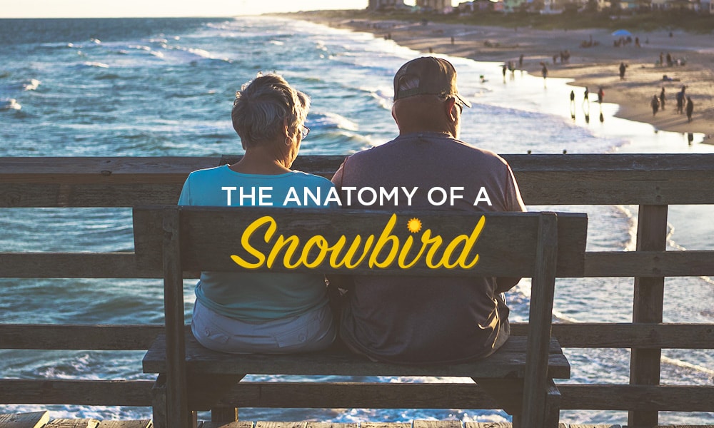 The Anatomy of a Snowbird