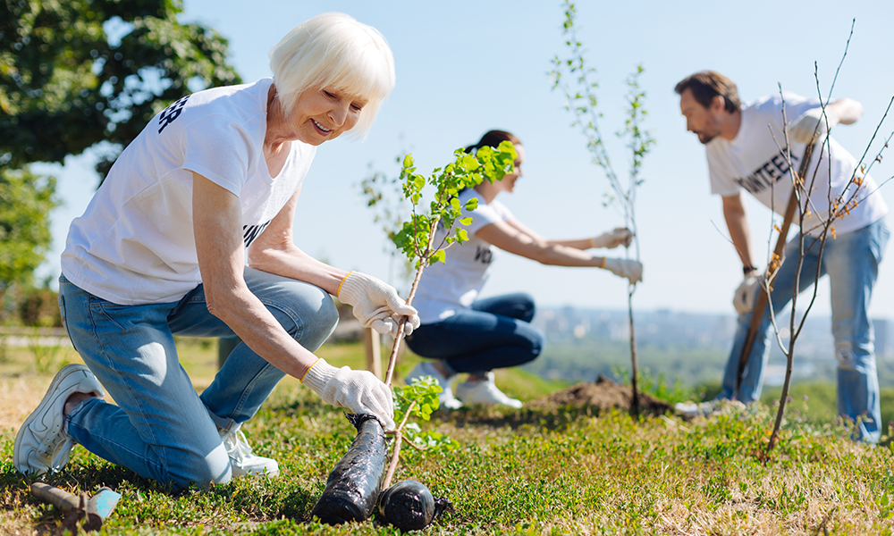 Group of seniors planting trees to help them stay active